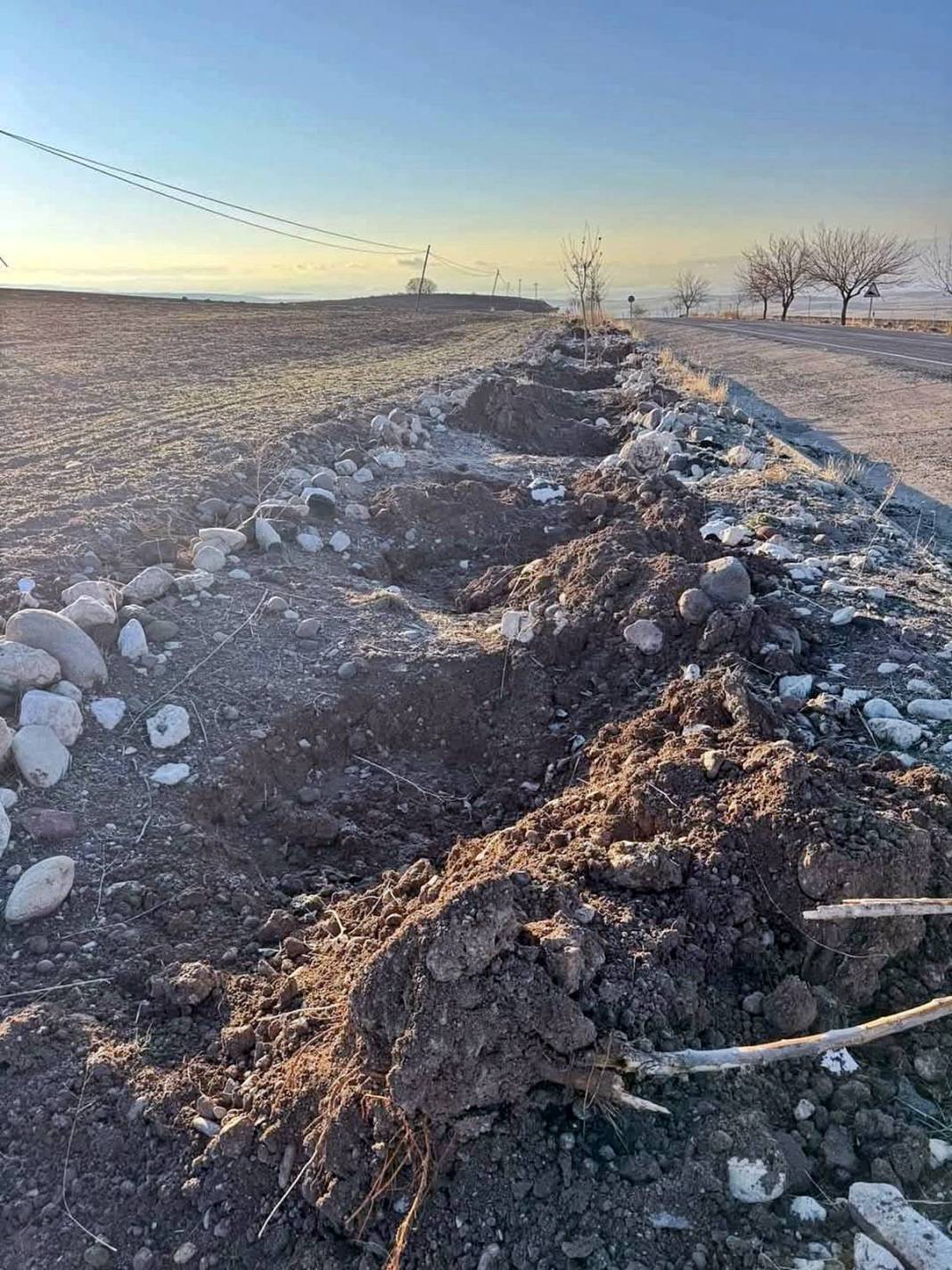 Pes dedirten hırsızlık: Yol kenarındaki fidanları çaldılar! Her yerde aranıyorlar 3